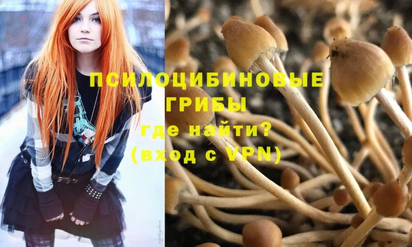 PSILOCYBIN Рославль