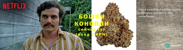стафф Беломорск