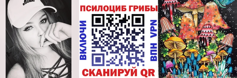 Галлюциногенные грибы мицелий купить наркотики цена Мещовск