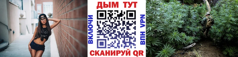 Шишки марихуана сатива Мещовск